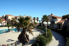 Leucate