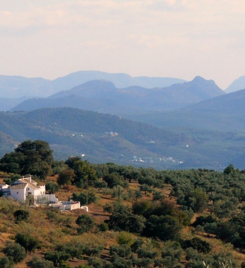 View of Cortijo Chapparo, the Olive Groves and the Valleys