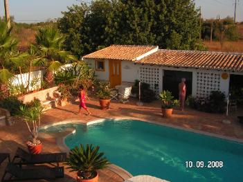 A view from the roof terrace