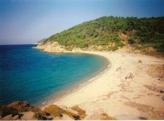 Agistros beach Skiathos