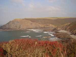 Crackington Haven