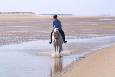 Horse rider on Holkham beach with naturist area in the background