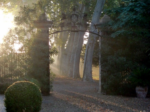 Château Rieutort entrance 