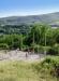 volleyball at Les Lauzons