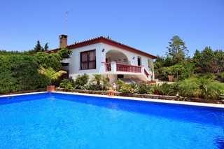 Pool at apartment Borzoi