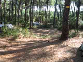 Arnaoutchot camping pitches