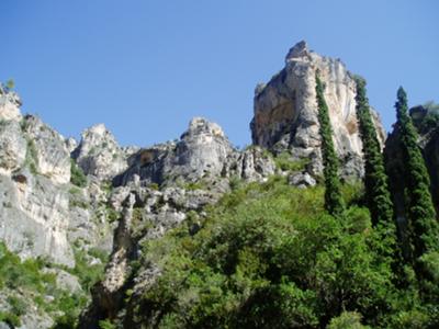 Surrounding Hills near Finca Ninfas del Agua