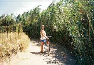 Jan cycling in Naxos