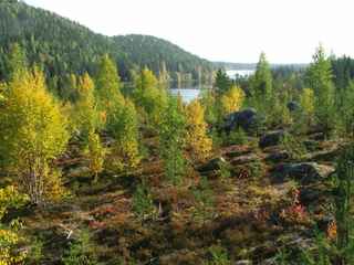 Woods and lake at Kroktrask