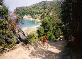 Rog cycling to beach on Skiathos