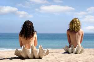 Naturist girls on shells